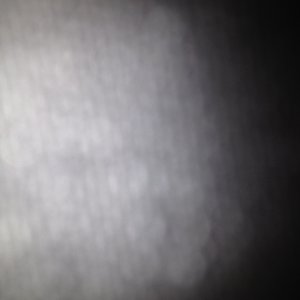 Profile Picture of Ryan Needham (@sonsofanarxhy) on Myspace