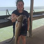 Profile Picture of Aimee Dupree (@softball_n_horses) on Instagram