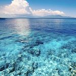 Profile Picture of Wayne Yale (@wayneyale__christopher) on Instagram