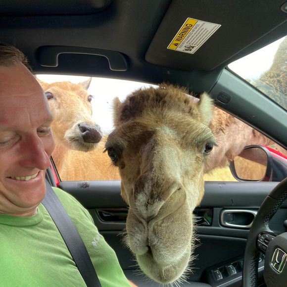 Profile Picture of Randi Isgrigg (@randiisgrigg) on Poshmark