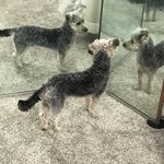 Profile Picture of Laura Bliemeister Taylor (@laurainakron) on Instagram