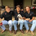 Profile Picture of Adam Mayer (@adam_mayer) on Instagram