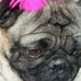 Profile Picture of Kim Stembridge (@kim.stembridge.5) on Facebook