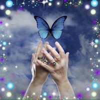 Profile Picture of Clare Wiseman (@clare-wiseman-2) on Quora