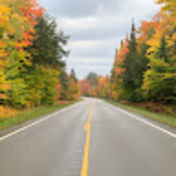 Profile Picture of Terra Stroble (@terrastroble) on Poshmark