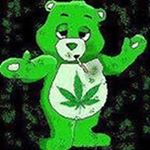 Profile Picture of Patrick Fallon (@the.kush_king) on Instagram