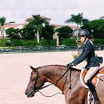 Profile Picture of Jacqueline & Rufus (@equine.rufus) on Instagram