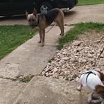 Profile Picture of James Beamon (@james.beamon.754) on Instagram