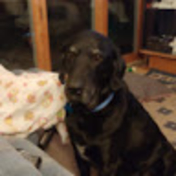 Profile Picture of Brenda Bahnemann (@bjbahn63) on Poshmark