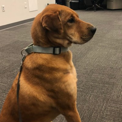 Profile Picture of Kyle Barry (@jkyleb) on Twitter