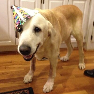 Profile Picture of Chad Calhoun (@c3auburn) on Twitter