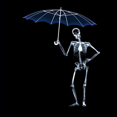 The Barney - Twitter Profile Picture of The Barney (@B_Finlay78) on Twitter