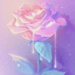 Profile Picture of 🍒✩Summer Depression✩🍒 (@casey.mckeownn) on Instagram