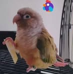 Profile Picture of Jason Cerda (@HalfwayCoco) on Facebook