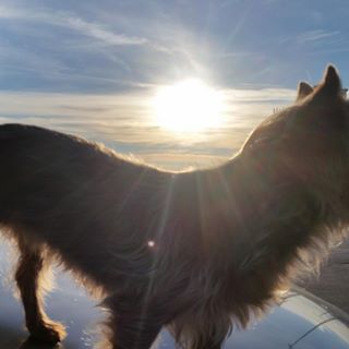Profile Picture of Andre Sim (@andre.sim.750) on Facebook