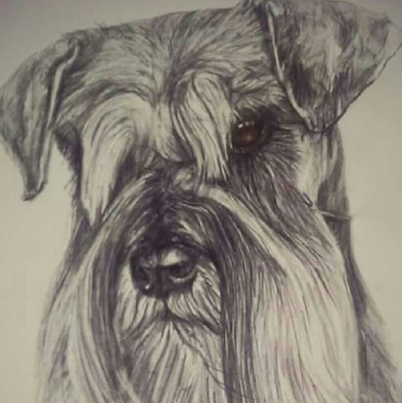 Jackie Binford - Poshmark Profile Picture of Jackie Binford (@jackiewbrd) on Poshmark