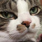 Quantanimo Joe - Instagram Profile Picture of Quantanimo Joe (@grass_is_for_cool_people) on Instagram