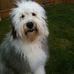 Profile Picture of Sue Sims (@sue.sims.7906) on Facebook