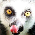 Profile Picture of Christopher Cotterill (@stilliamchris) on Instagram