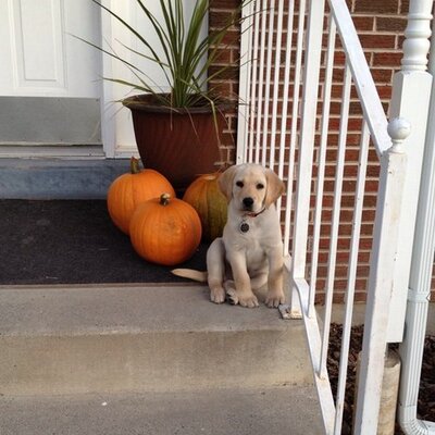 Profile Picture of Keith List (@keith_list) on Twitter