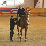 Profile Picture of Mario Barrovecchio (@mariobarrovecchio) on Instagram