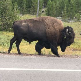 Joseph Bartell - Pinterest Profile Picture of Joseph Bartell (@blakenwi) on Pinterest