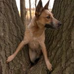 Profile Picture of 🤫Hannah Simonson🤫 (@hannah._.simonson) on Instagram