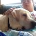Profile Picture of David Rawle (@david.rawle.71) on Facebook