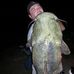 Profile Picture of Ron Cloyd (@ron.cloyd.3) on Facebook