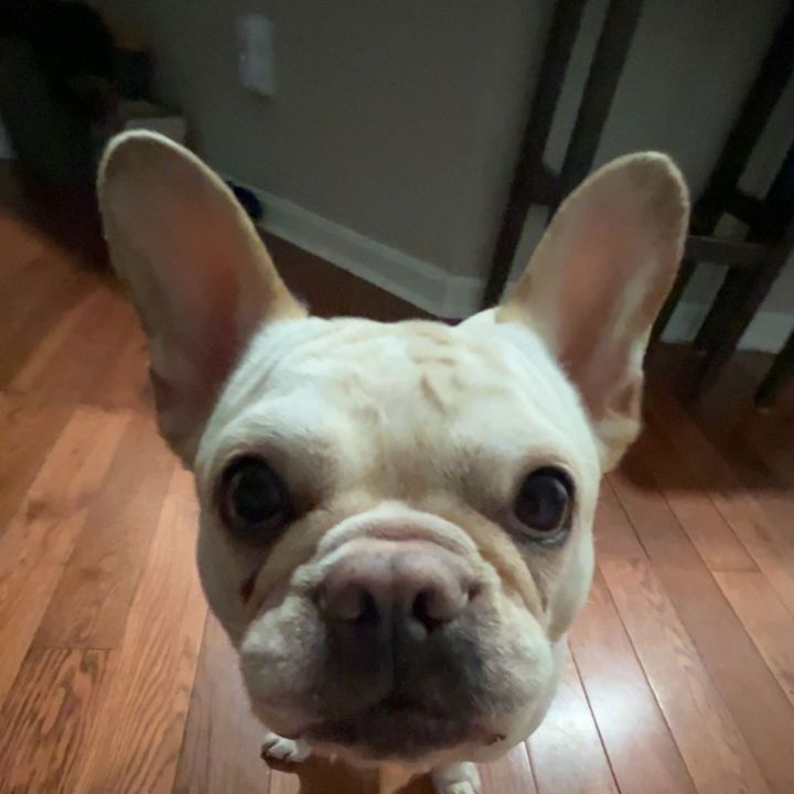 Profile Picture of Ava (@avacraig2) on Tiktok