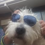 Profile Picture of Bruce Trinh (@bruce.trinh.54) on Facebook