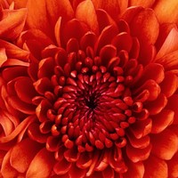 Profile Picture of Hannah Haugen (@hannah-haugen-1) on Quora