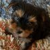 Profile Picture of Doris Beaman (@doris.beaman.50) on Facebook