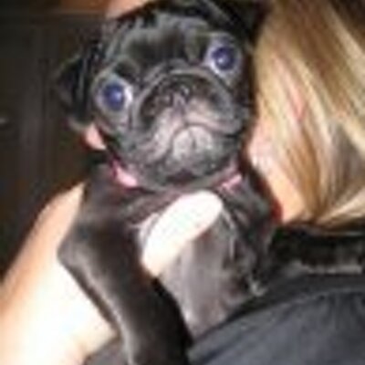 Profile Picture of Jeni Spencer Bridges (@@JenjenRN73) on Twitter