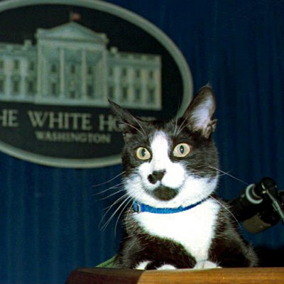 Profile Picture of Andrew Maier (@andrewsreading) on Twitter