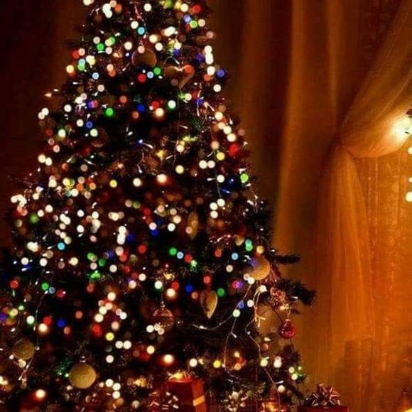 Profile Picture of Wanda Hamburg (@wah109) on Poshmark