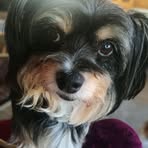 Profile Picture of Christa Schopohl (@Christa-Schopohl) on Facebook