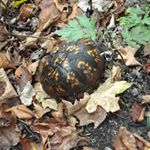 Profile Picture of Audra klein (@klein.audra) on Instagram