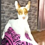 Profile Picture of Ernesto Molinero Arco (@molineroarco) on Instagram