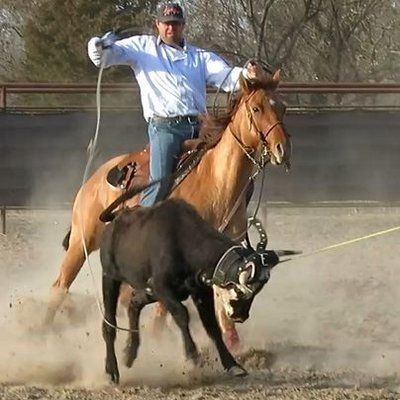 Profile Picture of Mitchell Hoback (@MitchellHoback) on Twitter