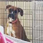 Profile Picture of katelyn Marie thornton (@katelynmariethornton) on Instagram