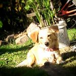 Profile Picture of Whitney Lucrecia (@whitney_barbero) on Instagram