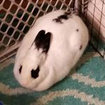 Profile Picture of Michael Malione (@michaelsmas) on Instagram