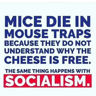 Profile Picture of Anthony Kiefer (@kiefer_anthony) on Twitter