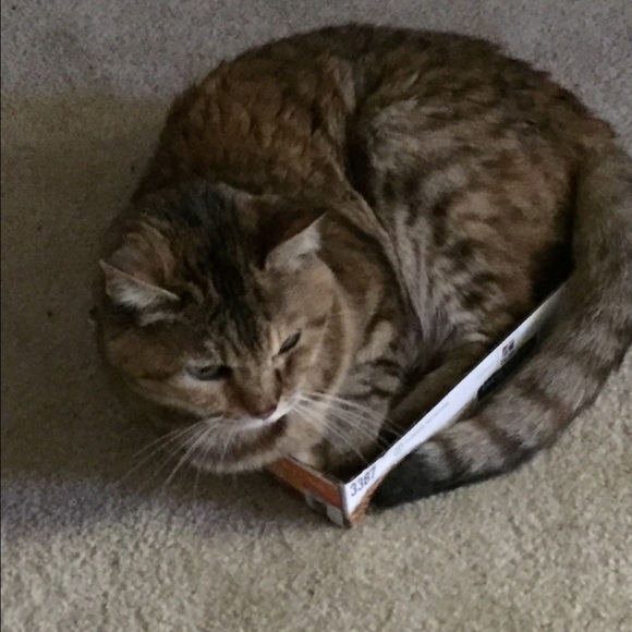 Profile Picture of Roberta Burdick (@catmom67002) on Poshmark