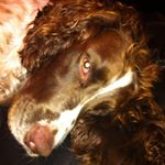 Profile Picture of Julia Phipps (@juliaphipps49) on Instagram
