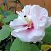 Profile Picture of Gallano Fe (@@fayecoat) on Tiktok