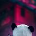 Profile Picture of William Sander (@william.sander.3386) on Facebook