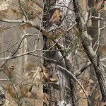 Profile Picture of Nick Haley (@realtree_camo_green) on Instagram