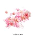 Profile Picture of Ghazala Jafri (@ghazala.jafri.93) on Instagram